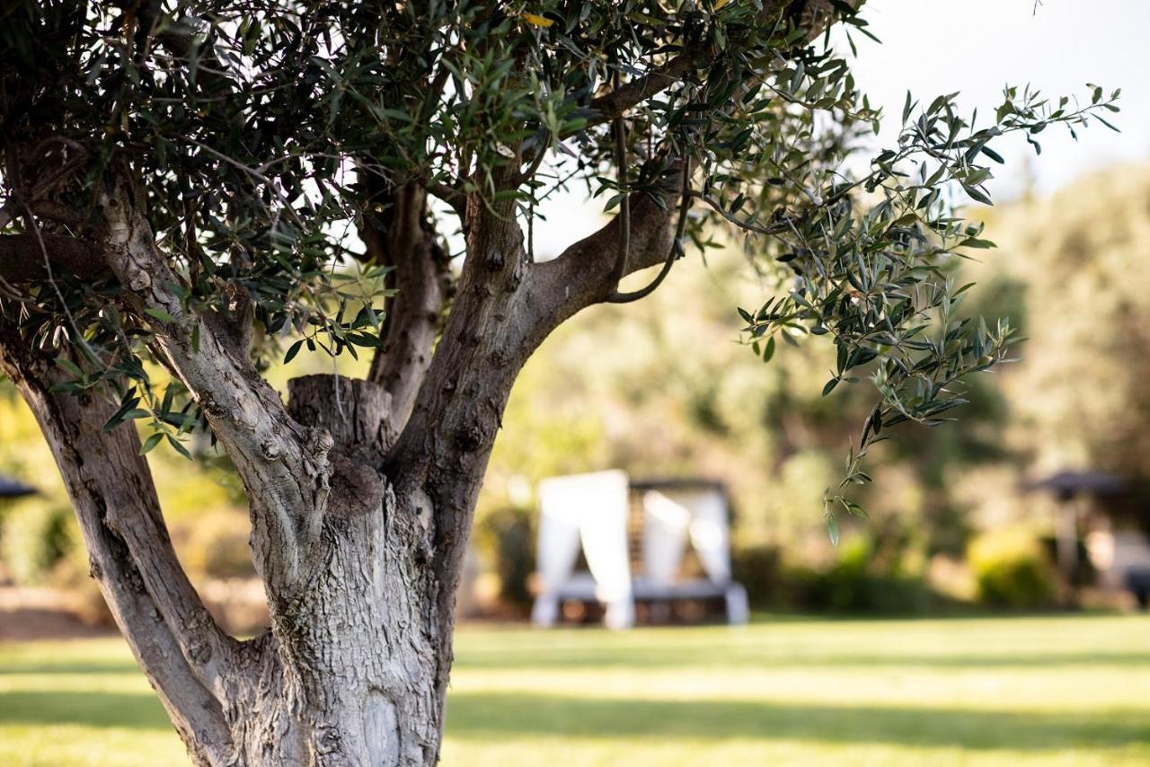 Vila Valverde Design Country Hotel Praia Da Luz Ngoại thất bức ảnh